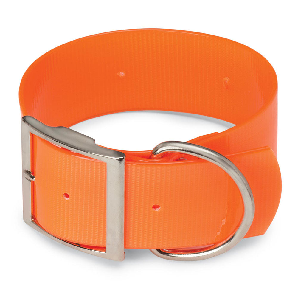 Extra Wide 2" DayGlo Dog Collar DRing in Front Huntsmart