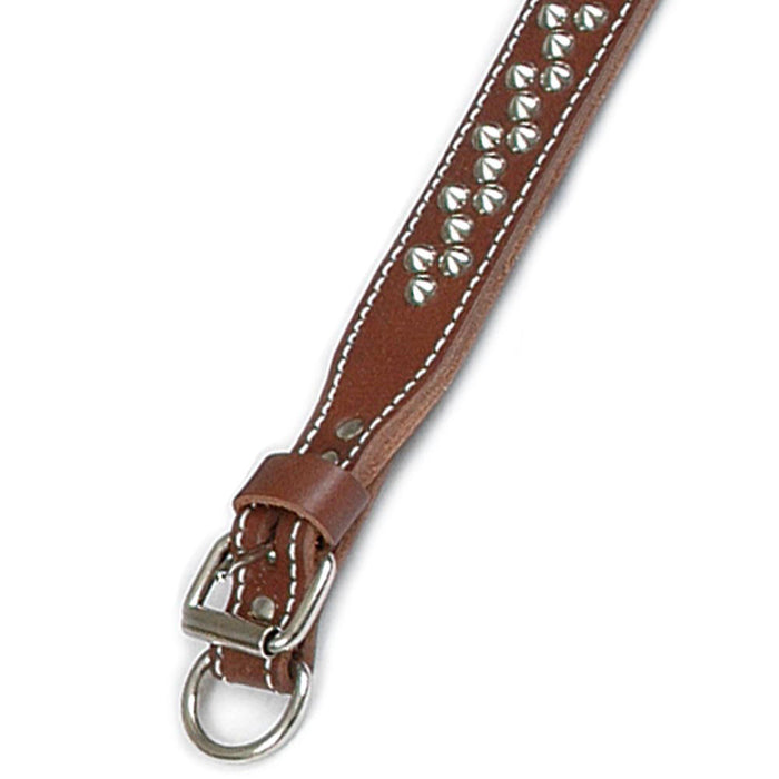 Double Ply 2" Wide Leather Studded Dog Collar - Huntsmart
