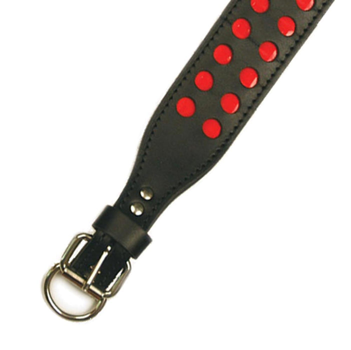D in Front Double Ply 2" Wide Leather Reflective Dog Collar - Huntsmart