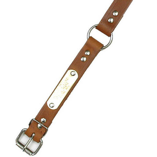 1" Wide Leather Dog Collar With Optional ID Tag - Huntsmart