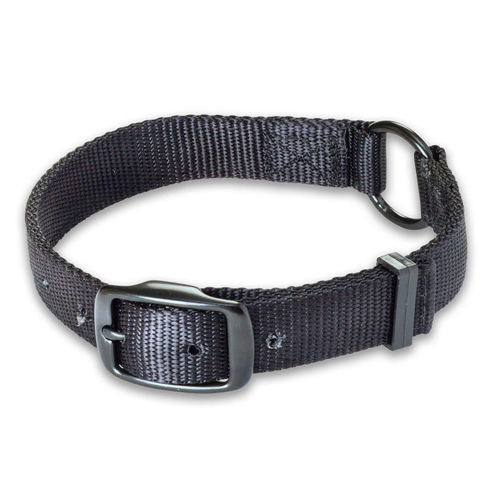 Nite Lite Double Ply Nylon 1" Ring-N-Center Black Dog Collar - Huntsmart