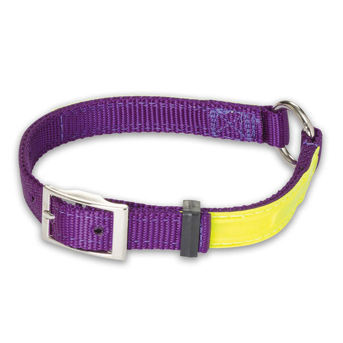 Nite Lite Reflexite Nylon 3/4" Ring-N-Center Reflective Dog Collar - Huntsmart