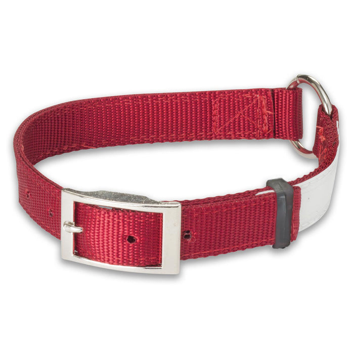 Nite Lite Reflexite Nylon 1" Ring-N-Center Reflective Dog Collar - Huntsmart