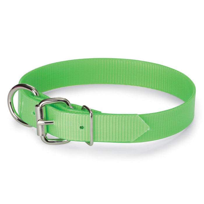 Nite Lite 1" Day-Glo Dog Collar D-Ring in Front - Huntsmart