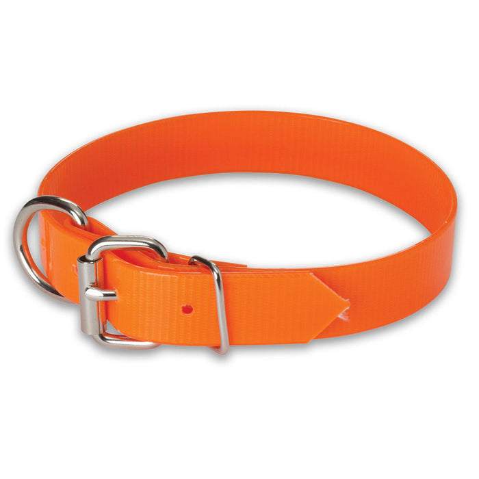 Nite Lite 1" Day-Glo Dog Collar D-Ring in Front - Huntsmart