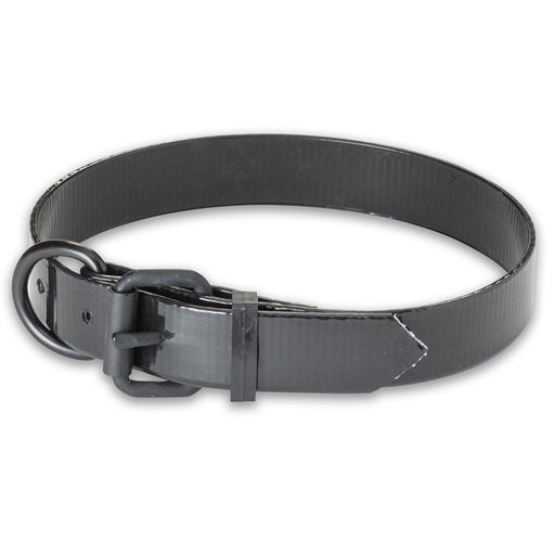 Nite Lite Day-Glo Lo-Vis Dog Collar - 1" Extended D-Ring - Huntsmart