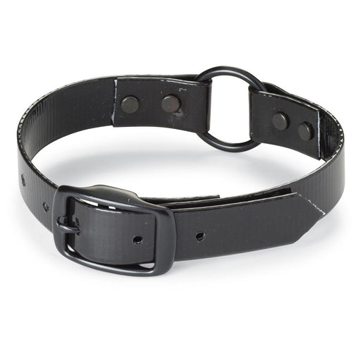 Nite Lite Day-Glo Lo-Vis Dog Collar - 1" Ring-N-Center - Huntsmart