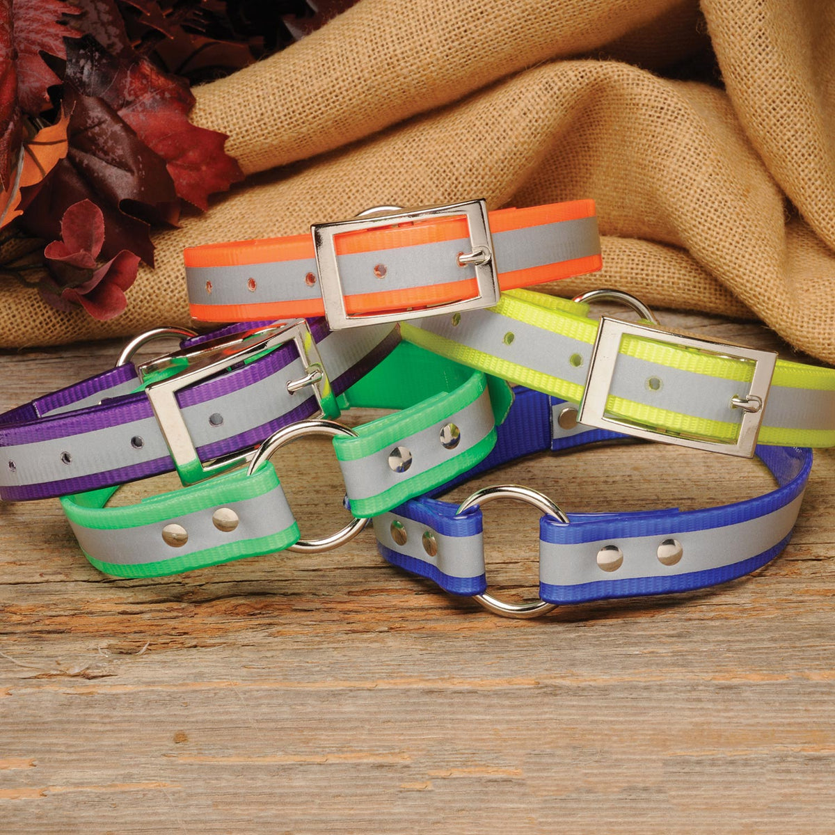 Coon Hunting Gear & Supplies