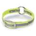 Nite Lite 3/4" Day-Glo Collar Ring-N-Center with Reflective Strip - Huntsmart