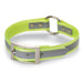 Nite Lite 1" Day-Glo Collar Ring-N-Center with Reflective Strip - Huntsmart