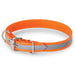 Nite Lite 3/4" Extended D Day-Glo with Reflective Strip - Huntsmart