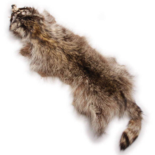 Tanned Raccoon Drag - Huntsmart