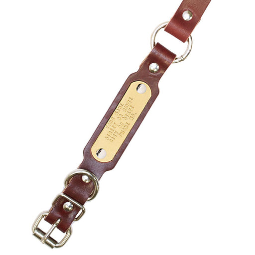 Leather Ring-N-Center Beagle Collar - Huntsmart