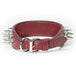 2-Ply 2" Leather Spike Collar - Huntsmart