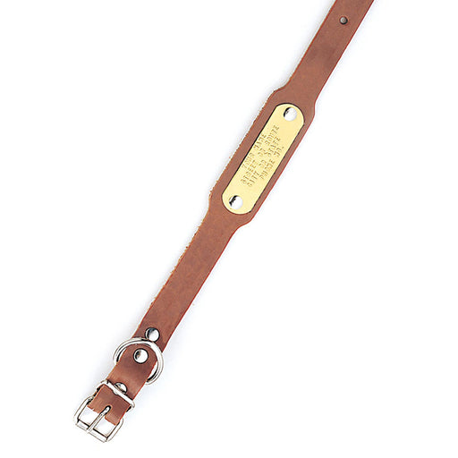 Leather Single Ply Beagle Collar - Huntsmart