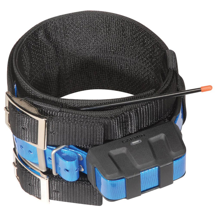 Nite Lite Hog Dog Collar For Garmin Tracking Unit - Huntsmart