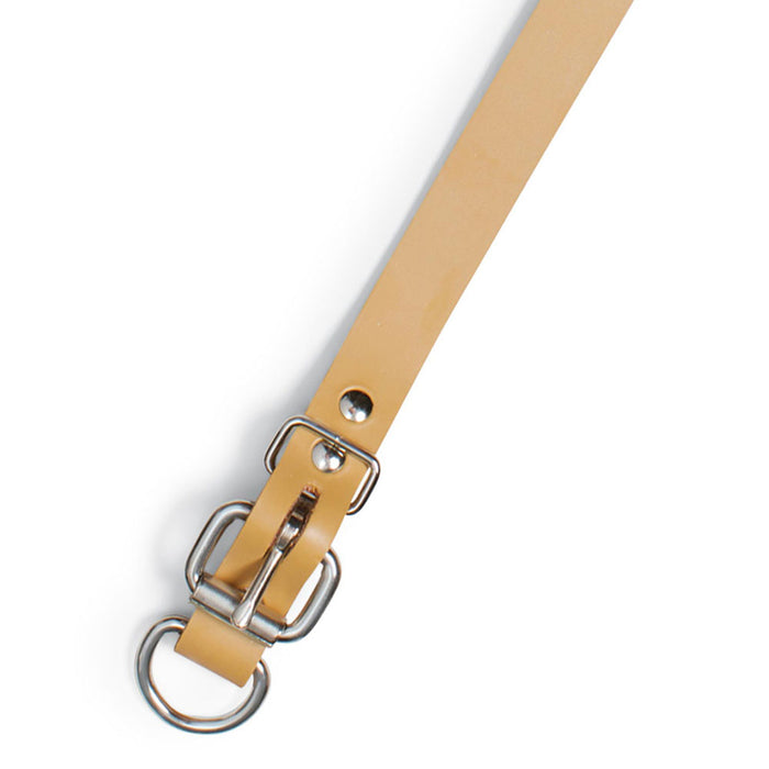 Perma Tough 3/4" Wide Dog Collar Extended DRing Huntsmart