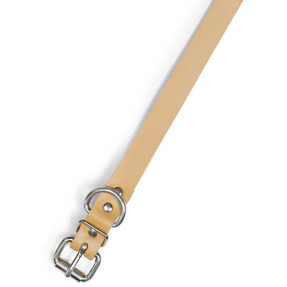 Perma Tough 3/4" Wide Dog Collar Regular DRing Huntsmart