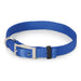 Nite Lite Double Ply Nylon 1" D-Ring in Front Dog Collar - Huntsmart