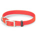 Nite Lite Double Ply Nylon 3/4" D-Ring in Front Dog Collar - Huntsmart