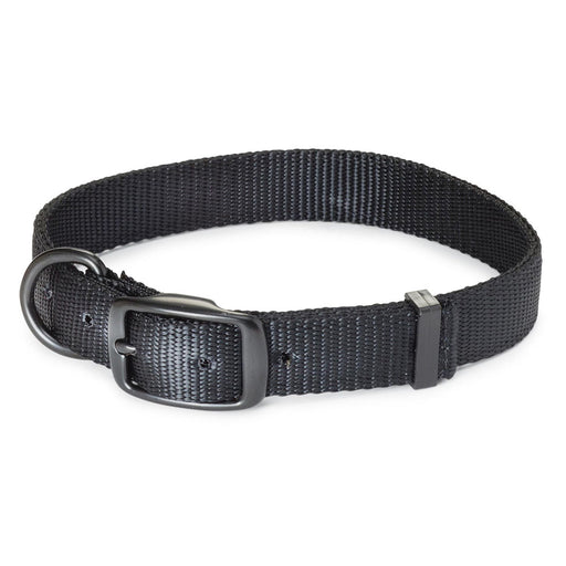 Nite Lite Double Ply Nylon 1" D-Ring in Front Black Dog Collar - Huntsmart