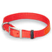 Nite Lite Reflexite Nylon 3/4" D-Ring in Front Reflective Dog Collar - Huntsmart