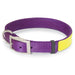 Nite Lite Reflexite Nylon 1" D-Ring in Front Reflective Dog Collar - Huntsmart
